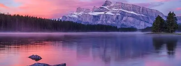 ��Ȼ�������ɻ�����Ϣ��ȫ.png